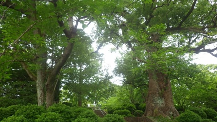 小城公園　…園内にある佐賀県最低峰「桜ヶ岡」とゾンビランドサガのマンホール…