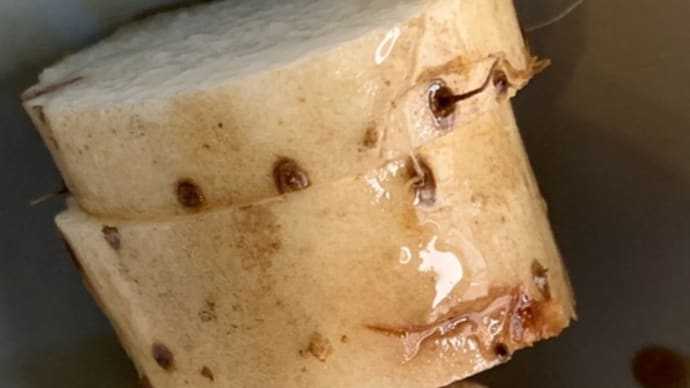 山芋 長芋 やまいも ながいも 皮付きを生で丸齧り 丸かじり 醤油だけ垂らして 栄養満点 シンプル 簡単 最高の食材 シャキシャキして美味い ワイルドだぜ〜 お腹に効く 春の準備 身体の健康な春迎えを