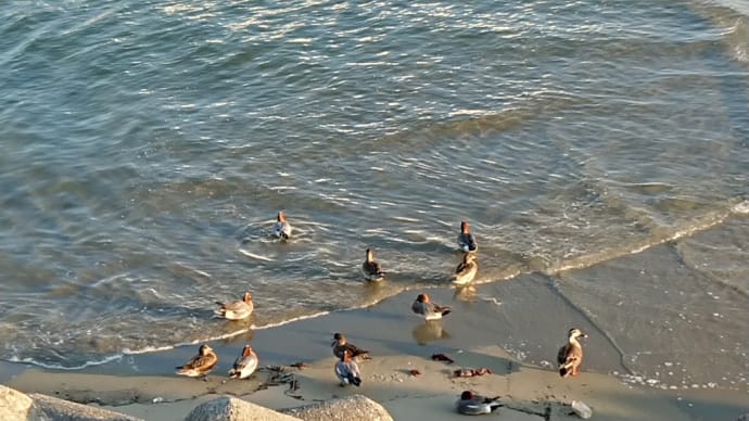 海へ