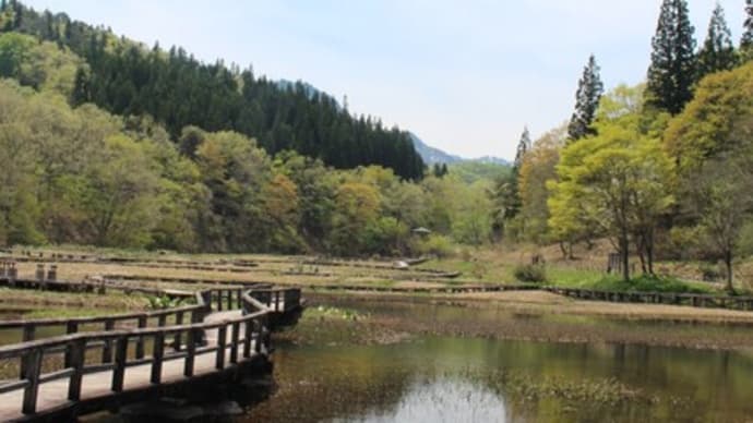 連休の合間、たきがしら湿原で、各種野草の花見を楽しんできた