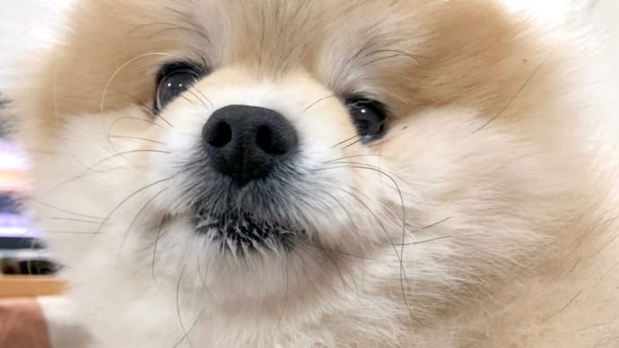 ☆大晦日☆