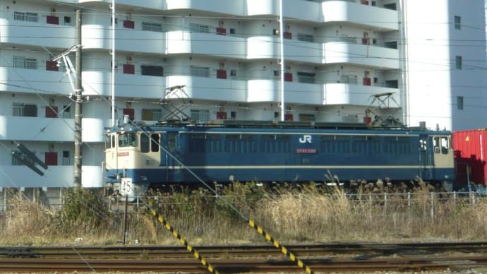 EF65-2081 大型コンテナ牽引(4072レ)(2) 【尻手駅:南武支線】 2023.1.24
