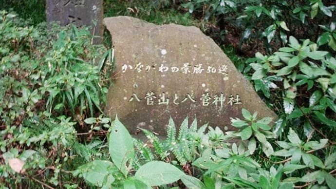 つぶやき#1737 八菅山と八菅神社