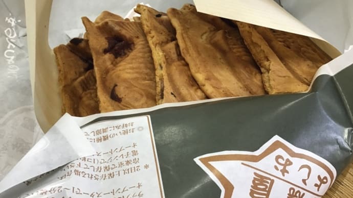 今日は5匹