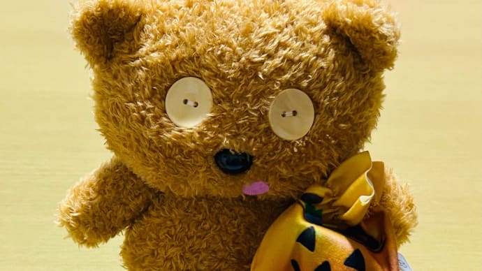 カルディ(コーヒーファーム)2→もこもこ「ティム🧸」が我が家にやってきた🙌嬉しい〜💕