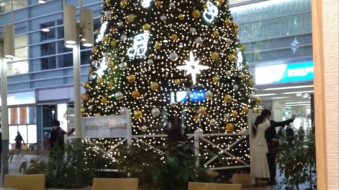 クリスマスイルミネーションの前でひと休み