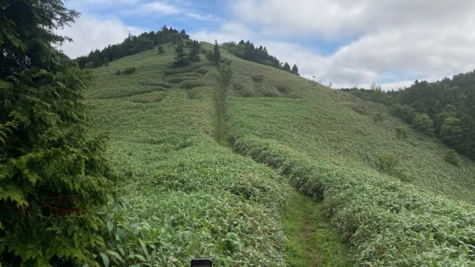 泉山登山！