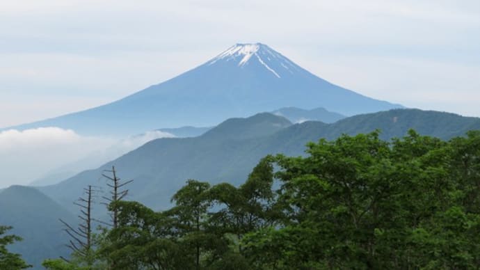 人気の「牛奥ノ雁摺」再訪と小金沢山