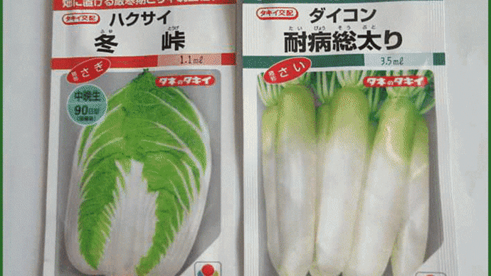 数日前に農芸店で購入して来た「白菜」種の直播を、昨日の午後4時過ぎから行って・・・