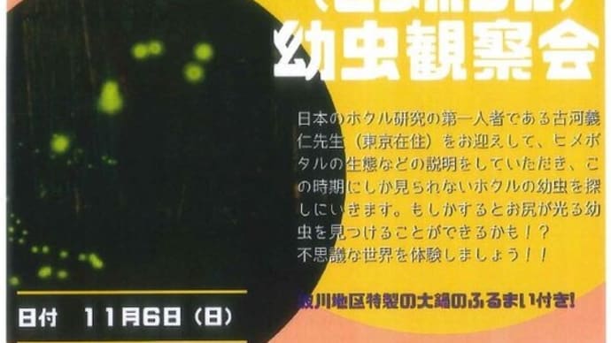 ヒメボタル幼虫観察会
