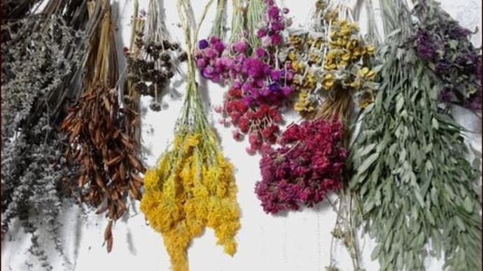 夏に作った庭の植物のドライでスワッグを作る