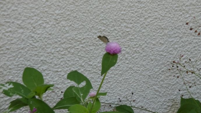 新型コロナウィルスで考えたこと【84】 -智慧による従業員の給料増加策その2-
