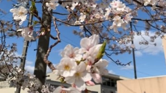 頭痛の増える季節に🌸