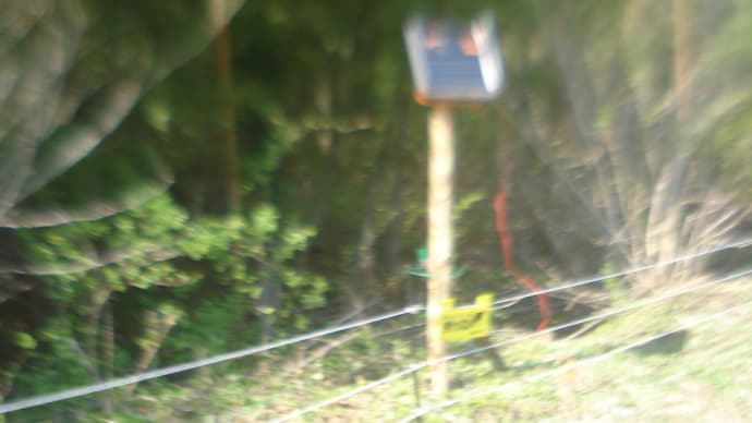 電気柵を設置、5000Vの電流が‼