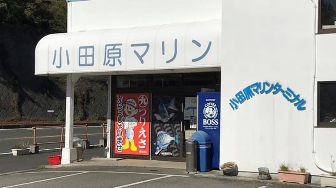 3/26 小田原ゴロタ