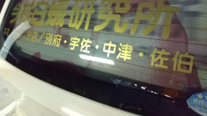 白蟻調査