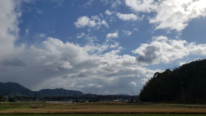大晦日😃