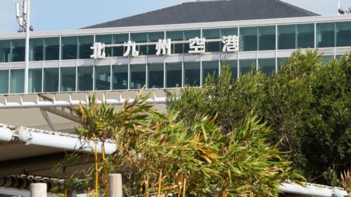 PCR検査