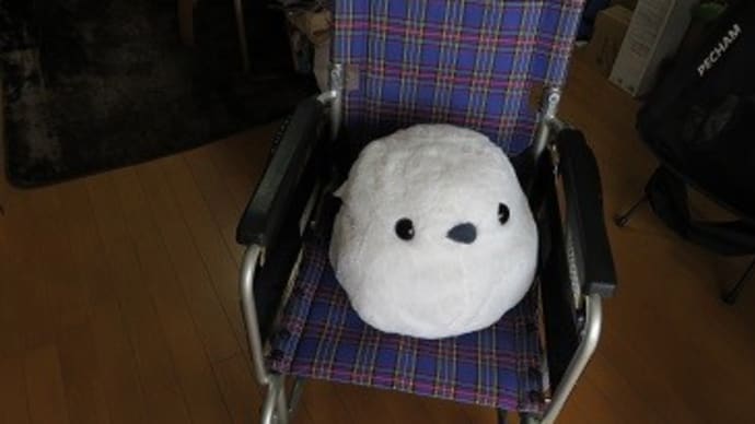 ギプス3日目。ニューアイテム登場