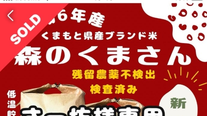 森のくまさん