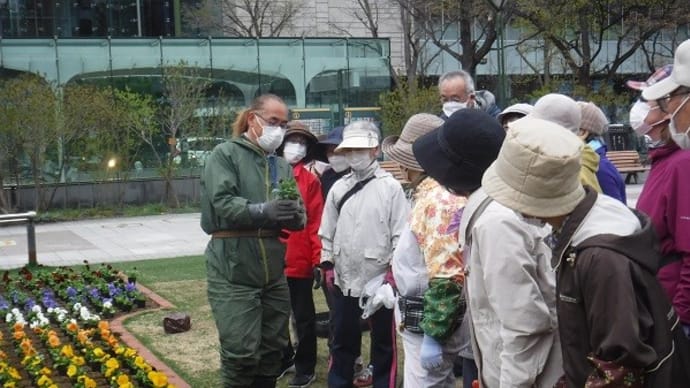 今日はボランティアサーズディ