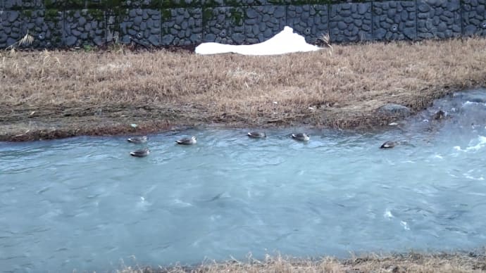 生きる理由