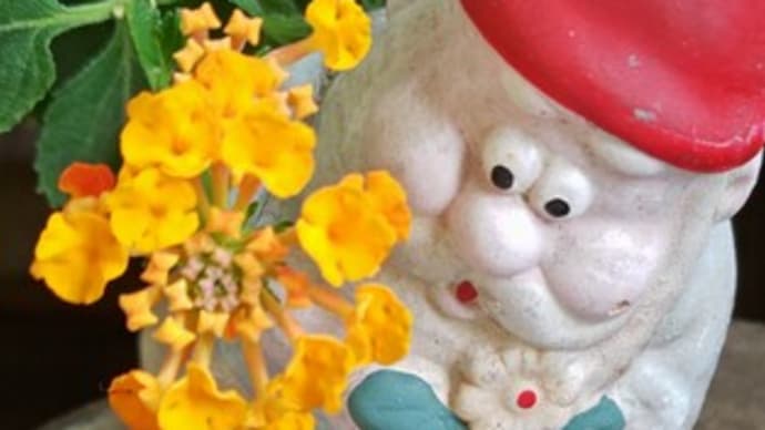 神無月十日。オレンジ系とピンク系の七変化(ランタナ)