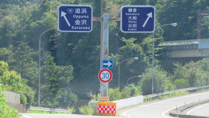 動き始めました
