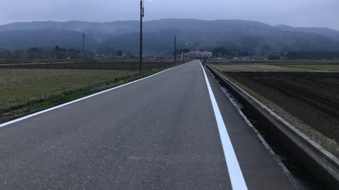 明日はまめの市