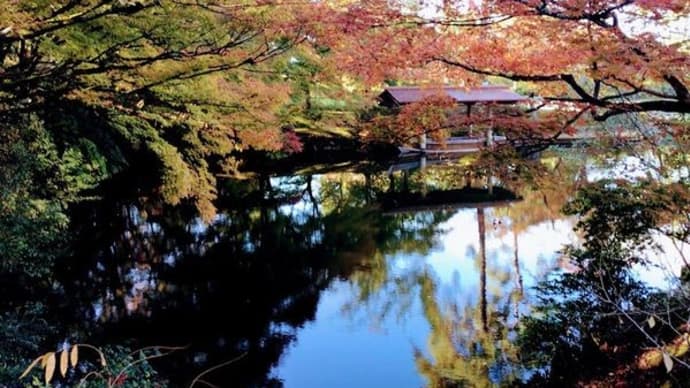 紅葉めぐり