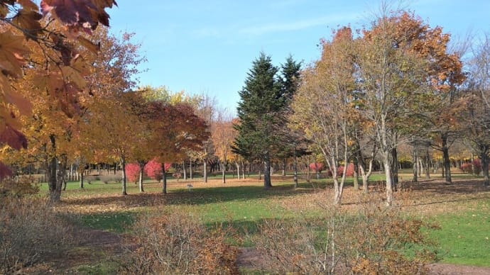鹿公園キャンプ場、シーズン営業を終える・・