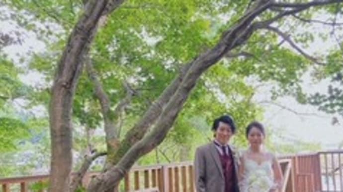 AallaZ nagaoka wedding …21.10.16