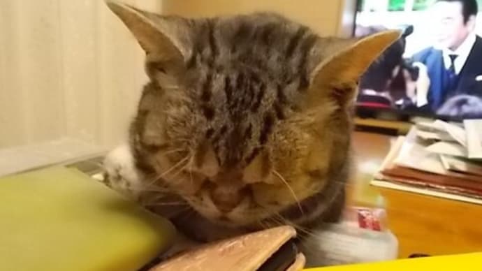 染めきれず💦