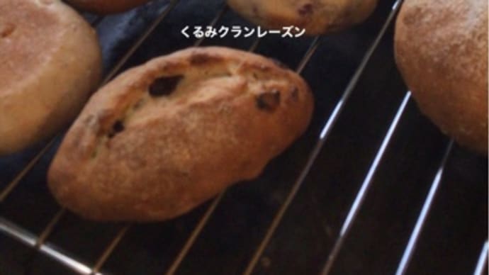お店の日776