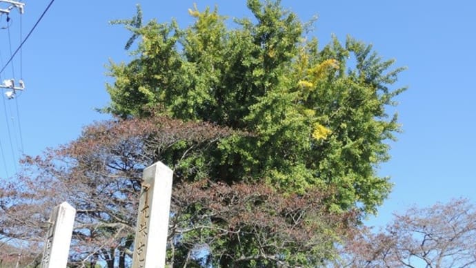 河野原大歳神社の今