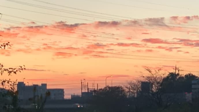 今日もいいお天気でした。
