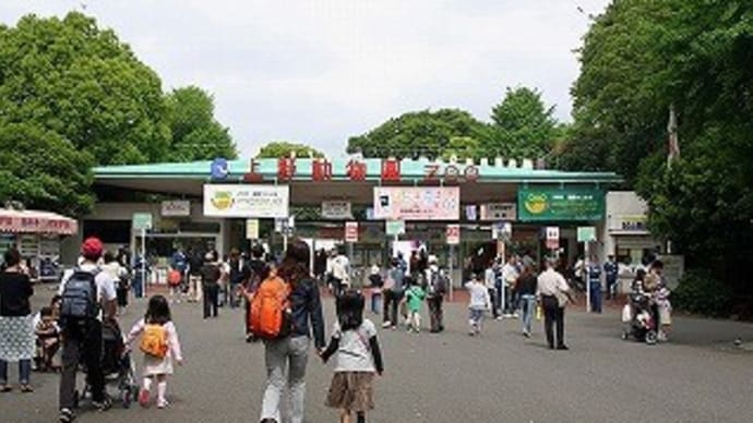 エルソル大阪物語■17■「東京へ行こう!」