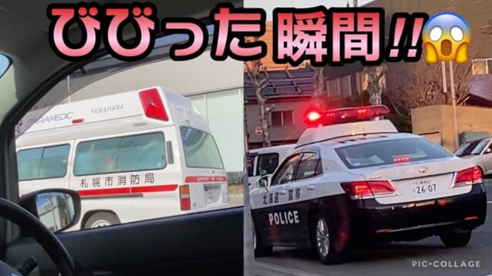 パトカーのサイレンに救急車!にめっちゃドキドキ…結果は…