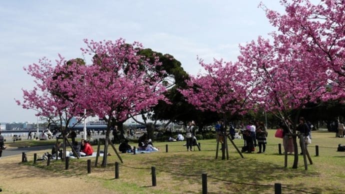 #9334 山下公園で😄