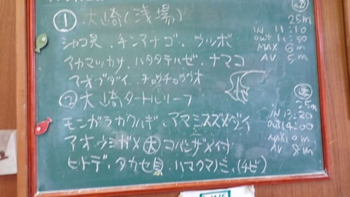 20231011ダイビングログ