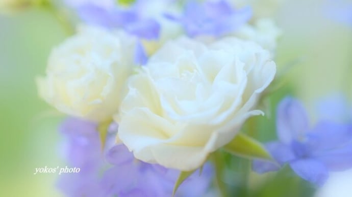 ひさしぶり~ 💕