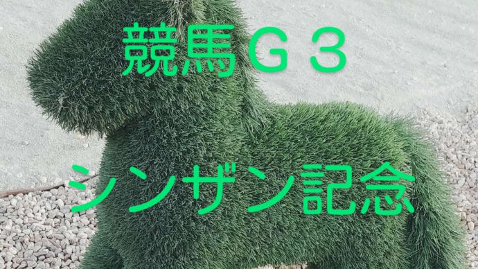 競馬G3 シンザン記念を振り返る 馬券の結果