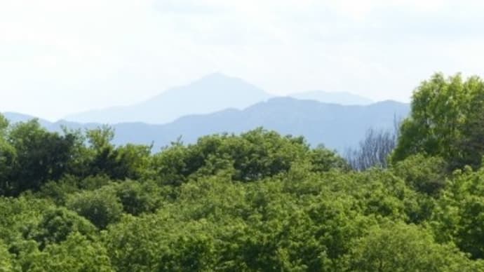 初夏の里山２０２２　～里山公園巡り（１）～