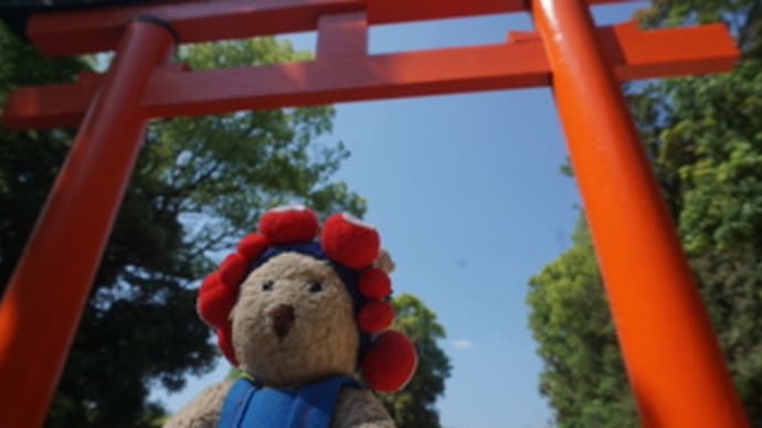 「葵祭」の準備が進む「下鴨神社」。15日は斎王代の行列が木漏れ日の「糺の森」を進みます。