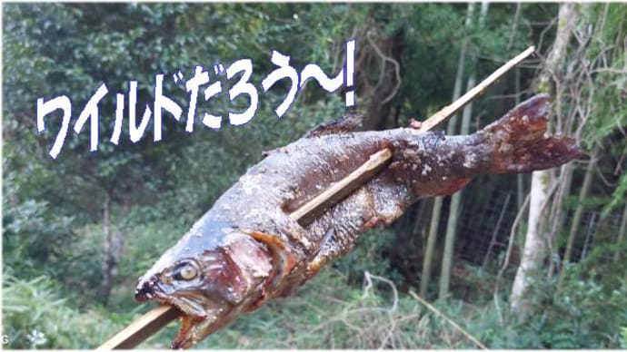 弁天ブランドます次郎でニジマスの塩漬け&カルパッチョ&塩焼き~!
