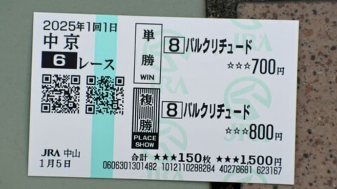 今年初出走のパルクリチュードは2着