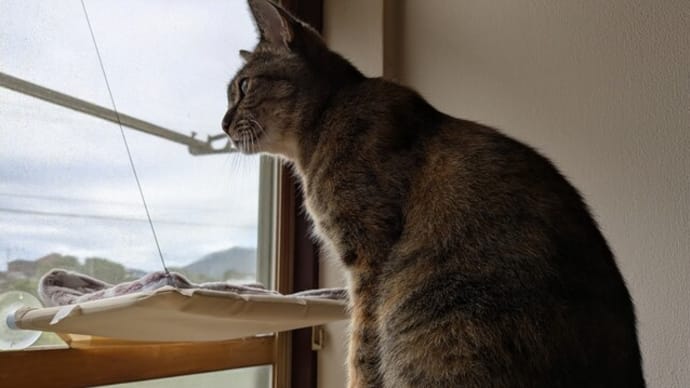幸せを感じる時…