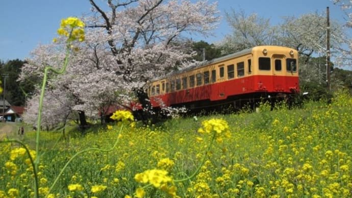 小湊鉄道線【千葉県】