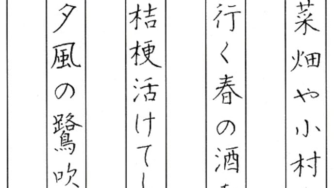 書道教室 日本書学館認定 真支部 ペン課題4月号のご紹介 ~かぼちゃ、今度は本物の発芽♪~
