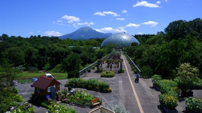 ♪どの花見てもきれぇだな~